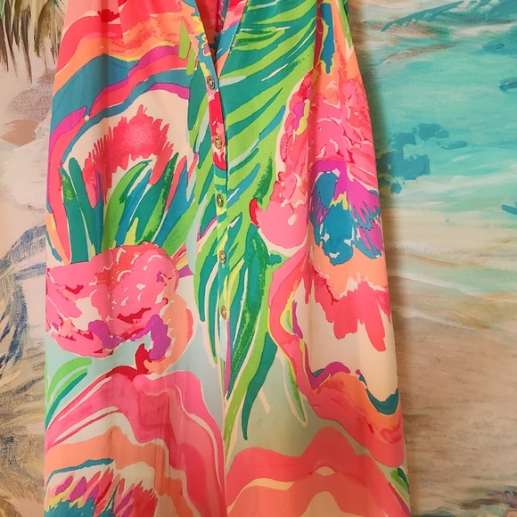 Bailey Silk Lilly Pulitzer Dress- Like New! - Picture 5 of 11